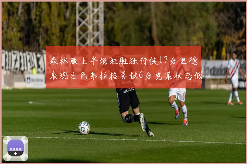 森林狼上半场狂胜独行侠17分里德表现出色弗拉格贡献6分克莱状态低迷未得分